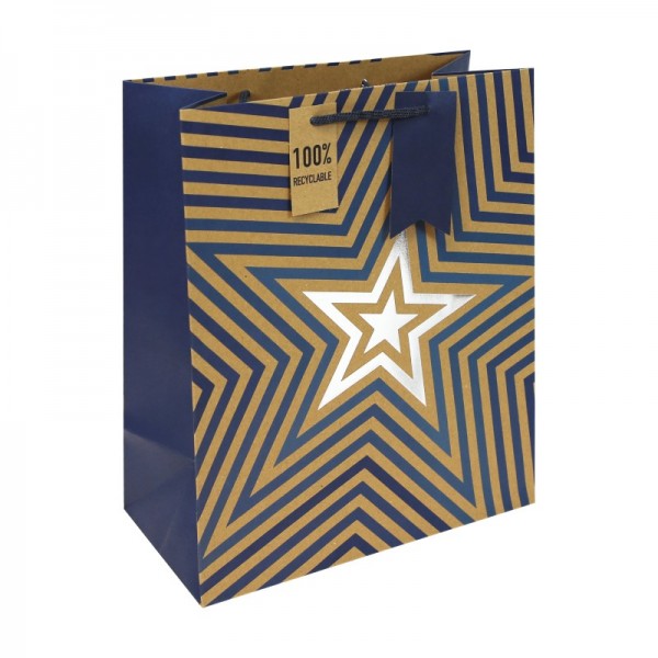 Kraft Blue Stars Large Bag (12)