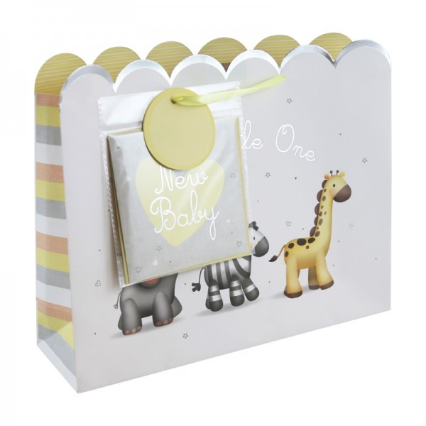 Baby Shopper & Card Gift Bag (12)