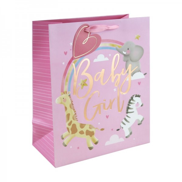 Baby Girl Large Gift Bag (12)